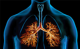 Bronchitis Specialist In Gurgaon